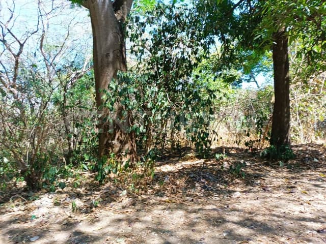 Venta de Terreno Campestre en Suchitlán Calle Clavel Fraccion A Lote 282