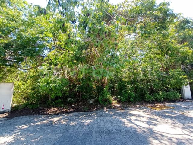 Terreno en Venta Cruz de Servicios sobre Av. Chemuyil Playa del Carmen P4469