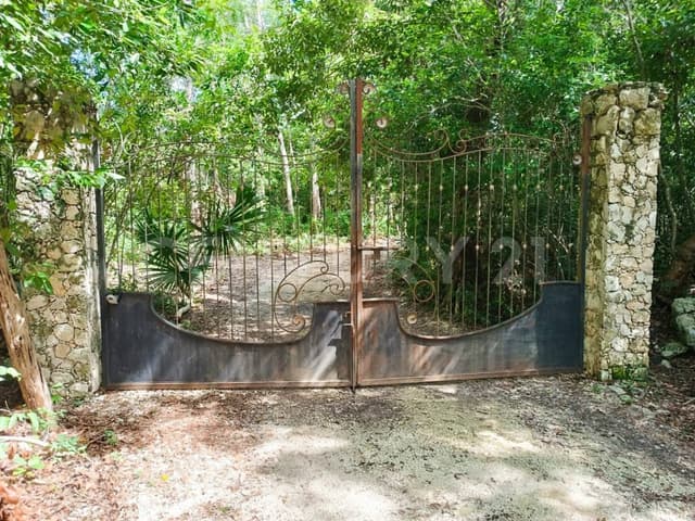Terreno en Venta Francisco Uh May, Tulum Quintana Roo 4