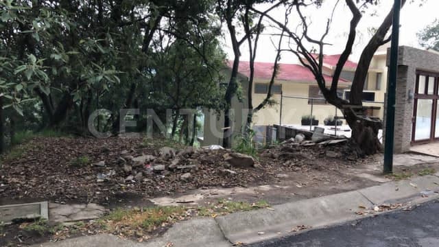 Vive Rodeado de Naturaleza – Terreno en Condado de Sayavedra