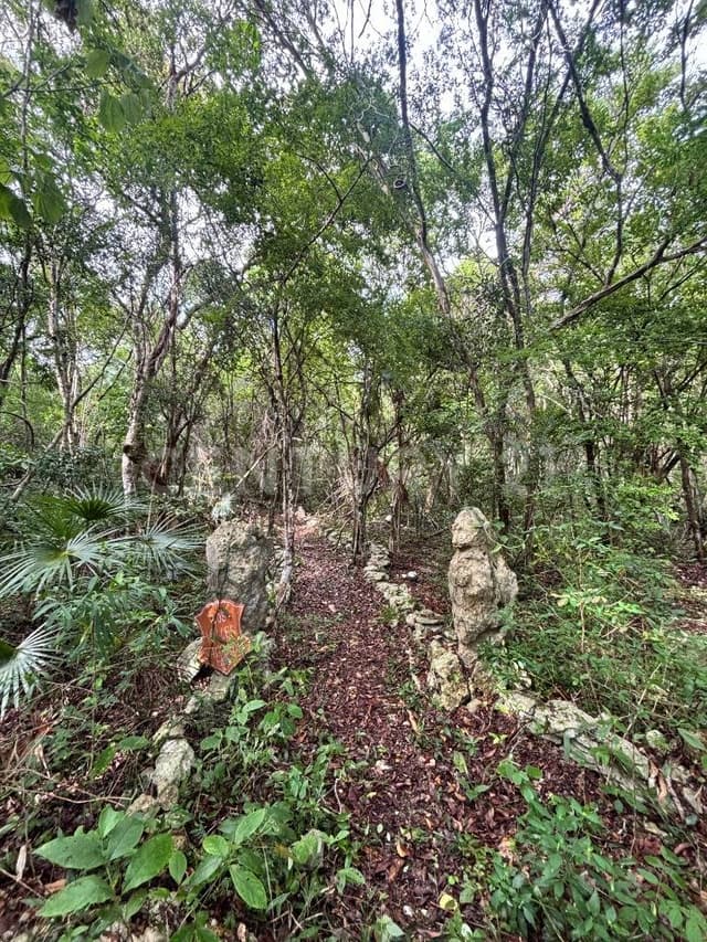 Terreno Pallas Athena THE ME PARK - 440m2 PARQUE DOS OJOS, QROO