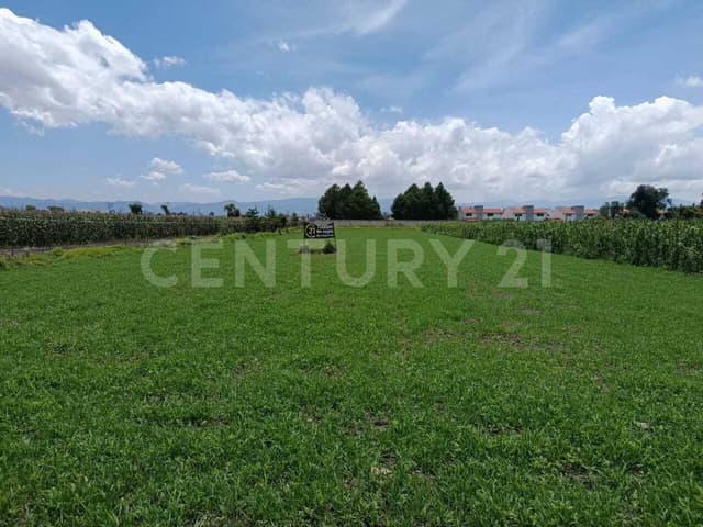 Terreno en venta en Metepec, calle Alamo, colonia Llano Grande, Estado de México