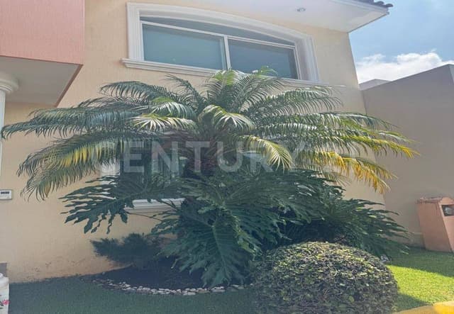 Vive la exclusividad del Club Britania – Morelia, Michoacán