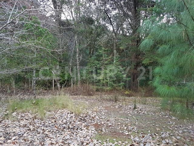 Terreno en venta de 5,000 m2