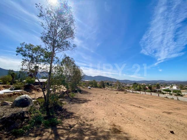 Terreno en Venta en Residencial Campestre Las Lomas, Ensenada, Baja california