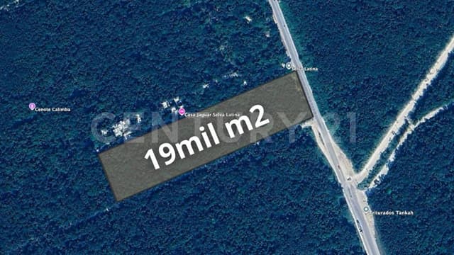 Terreno en Venta en Tulum, Quintana Roo