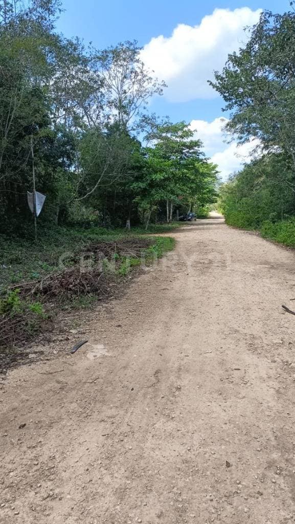Terreno en Venta en Leona Vicario, Puerto Morelos - YP0725