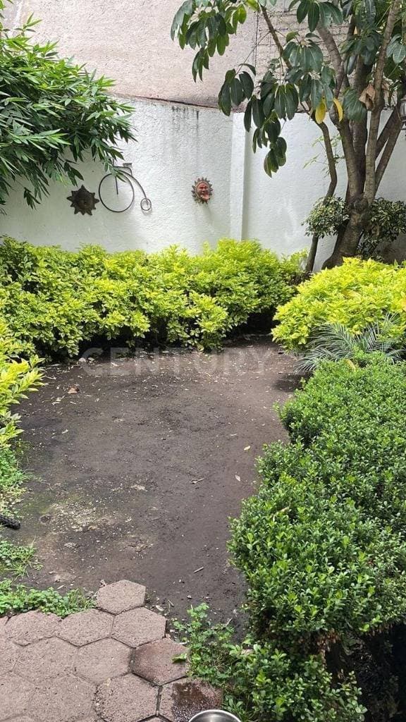 Fotos adicionales