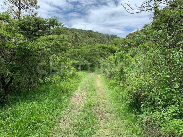 VENTA DE TERRENOS $4,500 M2 FRACCIONAMIENTO LAGOS PROVIDENCIA , VALLE DE BRAVO