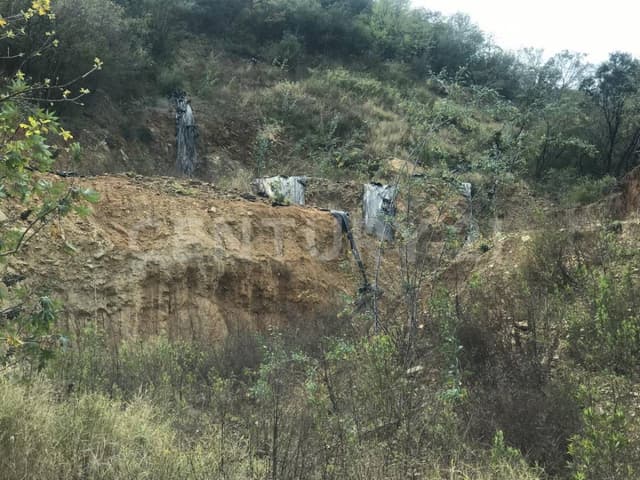 354545-TERRENO EN VENTA EN LAS CALZADAS EN SAN PEDRO