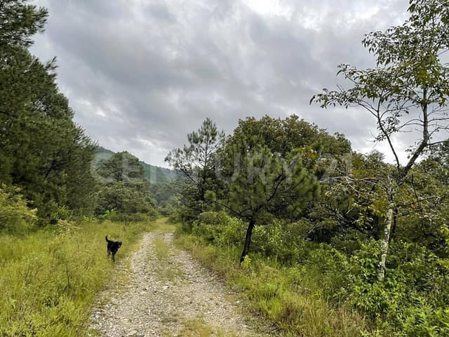 VENTA DE TERRENOS $4,500 M2 FRACCIONAMIENTO LAGOS PROVIDENCIA , VALLE DE BRAVO