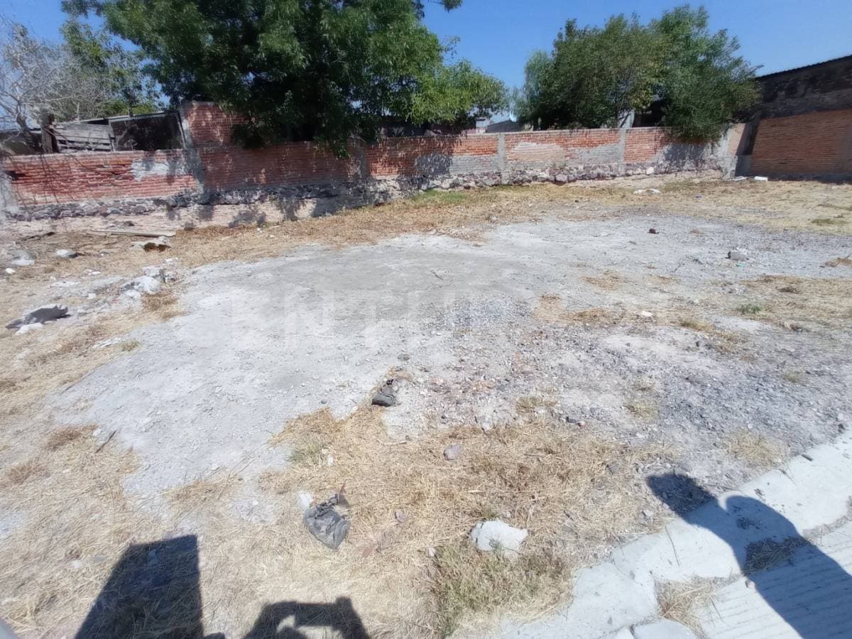 Fotos adicionales