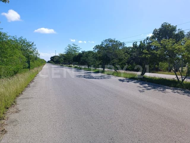 Terreno de 7 Has, en esquina, para inversión en Sierra Papacal, Mérida.