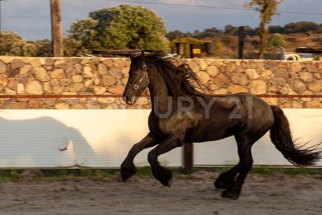 Terreno en Venta en Manantiales de Nopala, Nopala, Hidalgo.