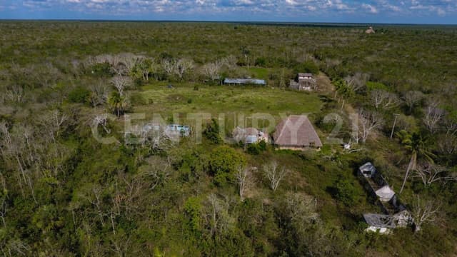 Venta de terreno en Carretera Cancún - Leona Vicario, desviación Francisco May