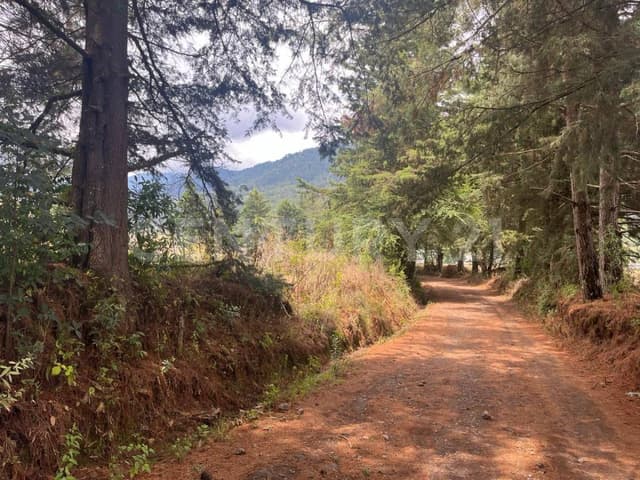 TERRENO EN VENTA, ATESQUELITES, VALLE DE BRAVO