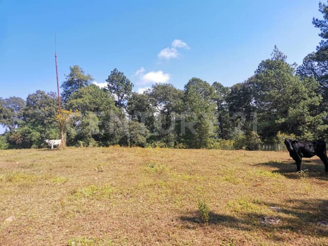 TERRENO EN VENTA GODINEZ, VALLE DE BRAVO