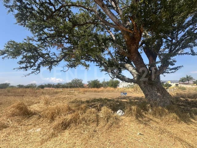 TERRENO EN VENTA EN XOXOCOTLÁN