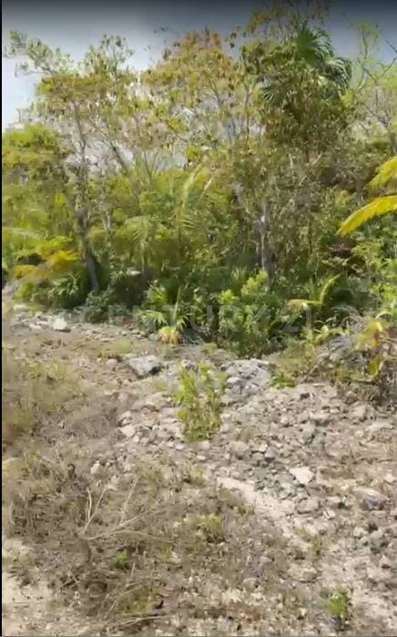 HECTAREA EN VENTA CERCA DEL AEROPUERTO Y ESTACIÓN DEL TREN MAYA – CANCÚN