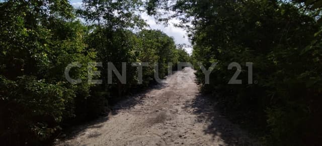 Terreno en venta en Región 15, Tulum, Quintana Roo