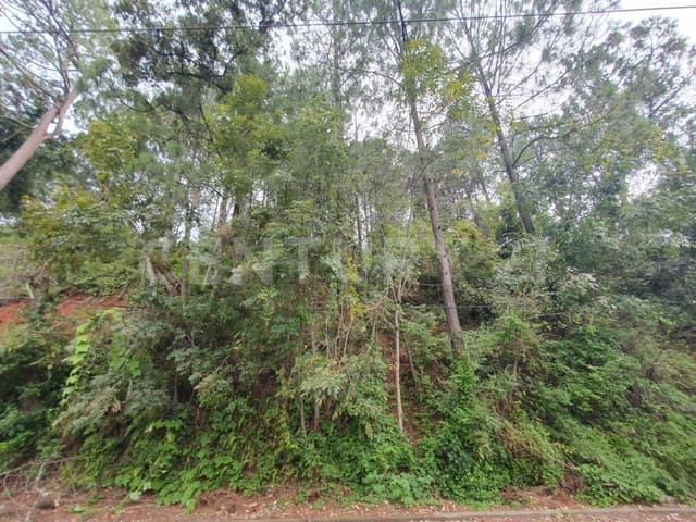 TERRENO EN EL CLUB DE GOLF AVÁNDARO