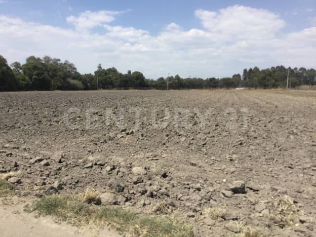 VENTA DE TERRENO, EN SAN MIGUEL XOXTLA ATRAS DE TERNIUM,