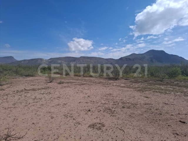 TERRENO EN VENTA , EJIDO LA CONCORDIA, CHIHUAHUA