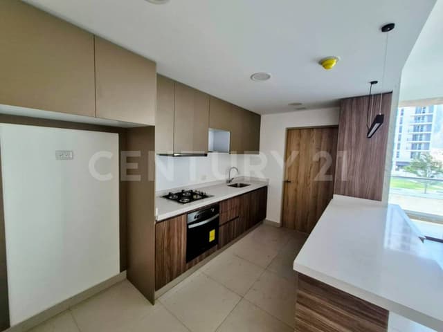 DEPARTAMENTO EN VENTA / RENTA EN SANTA CATARINA (DISTRITO DOMO)