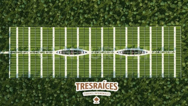 Terreno en Venta en Desarrollo Tres Raices Lote 223, en Flamboyanes, Progreso