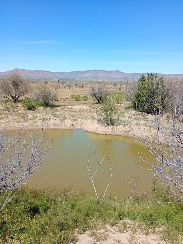 EN VENTA 90 HECTAREAS I LEYES DE REFORMA