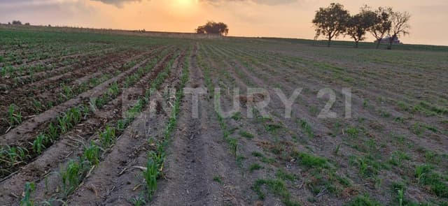 Terreno en Venta en El Refugio, Toluca, Estado de Mexico
