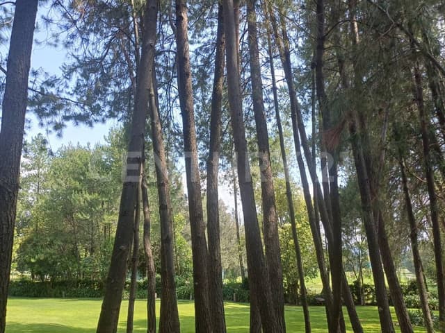 TERRENO EN VENTA CLUB DE GOLF LA ESMERALDA