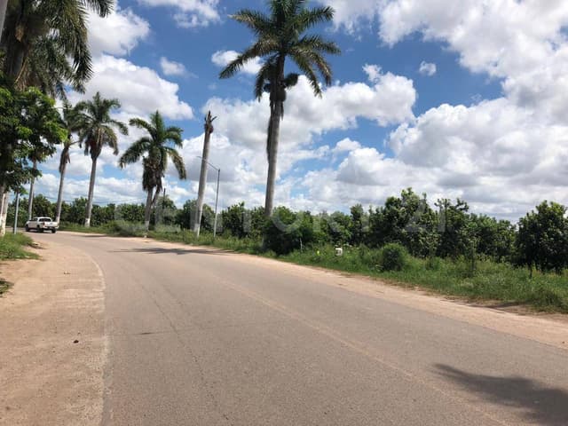 TERRENO EN VENTA en el Centro de La Higuera de Zaragoza, Ahome, Sinaloa.