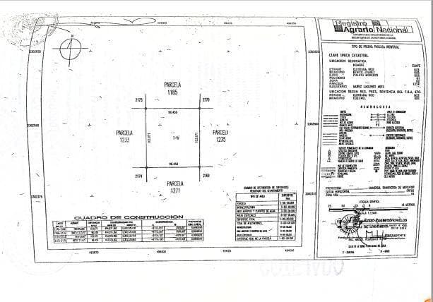 Terreno de 1 hectárea en Puerto Morelos P3943