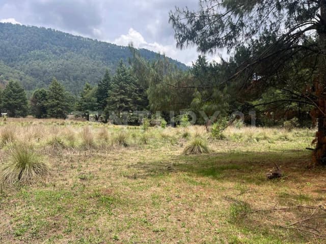 TERRENO EN VENTA, ATESQUELITES, VALLE DE BRAVO