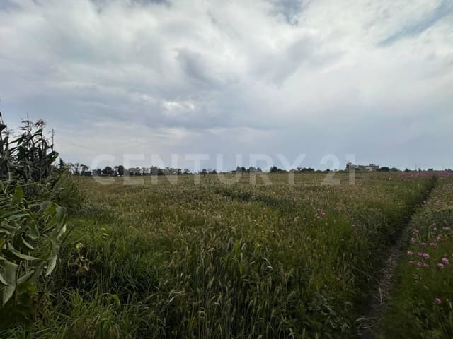 Terreno en Venta en Av. Codagem, San Lorenzo Coacalco, Metepec, Edo de Mexico.