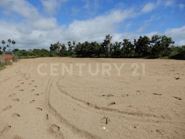 TIERRA DE BRISA Y FUTURO