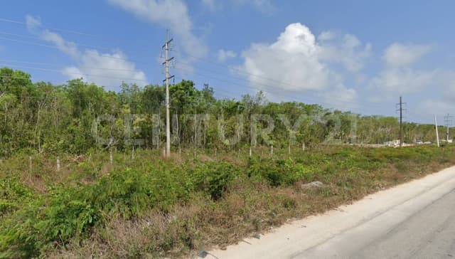 Terreno en Venta en Tulum, Quintana Roo