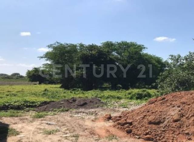 TERRENO IRREGULAR EN VENTA PANUCO VERACRUZ