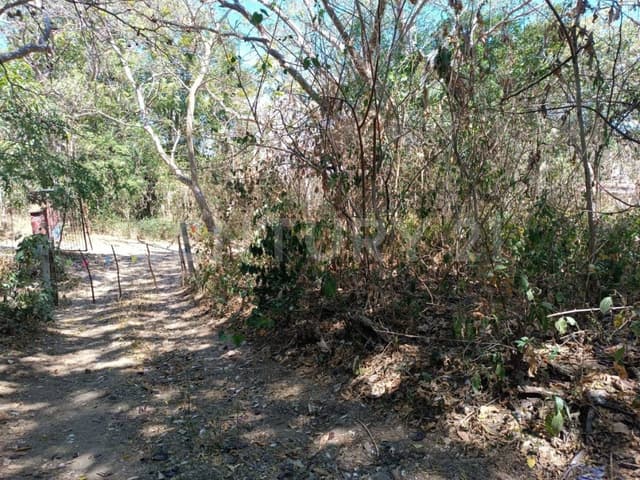 Venta de Terreno Campestre en Suchitlán Calle Clavel Fraccion A Lote 282