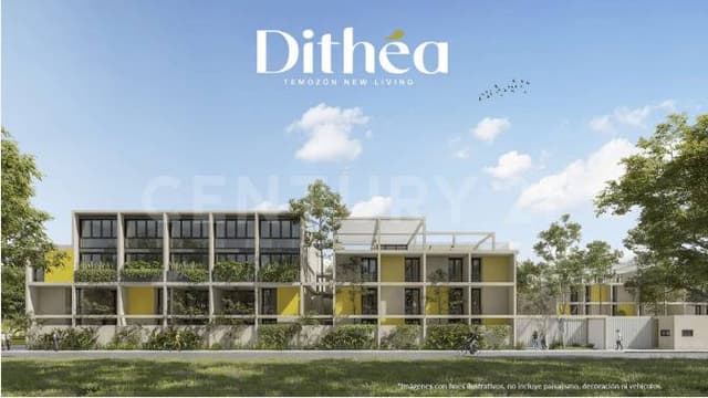 DEPARTAMENTOS DITHÉA TEMOZÓN LIVING