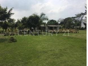 TERRENO VENTA CARR. VILLAHERMOSA A RÍO NUEVO CENTRO TABASCO