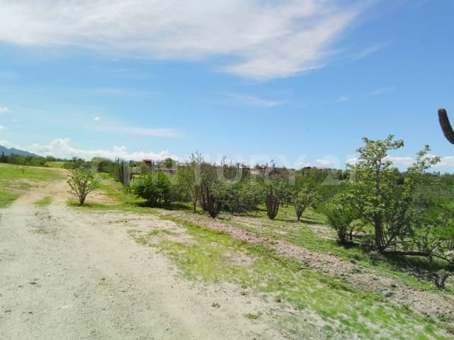 TERRENO CAMPESTRE EN LOMAS DE SAN PEDRO