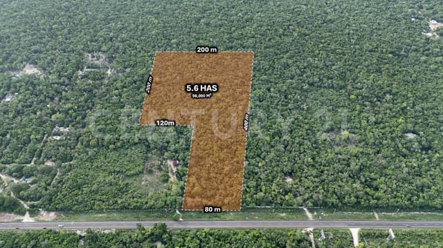 Terreno en Venta sobre Carretera Federal, Tulum
