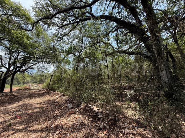 Terrenos en Venta con Ubicación Privilegiada