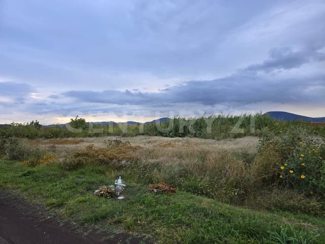 VENTA DE AMPLIO TERRENO UBICADO EN TENEXTEPEC, ATLIXCO, PUEBLA