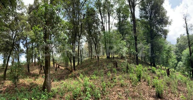 TERRENO EN SAN SIMÓN CON ARROYO Y CERCA RANCHO AVÁNDARO