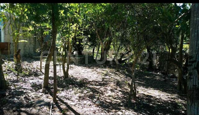 Terreno en Venta en Izamal, Yucatán