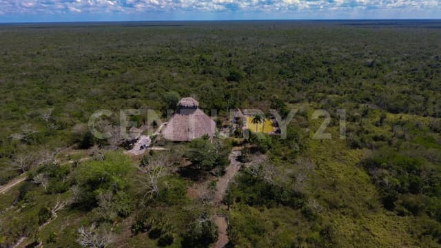 Venta de terreno Santa María en Carretera Cancún - Leona Vicario YC0823