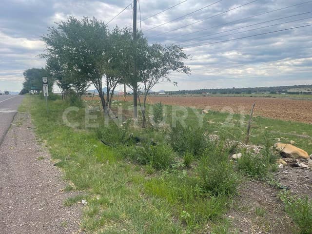 SE VENDE TERRENO CARR. CUAUHTEMOC-LAJUNTA C.P. 31604 EN CD. CUAUHTEMOC, CHIH.